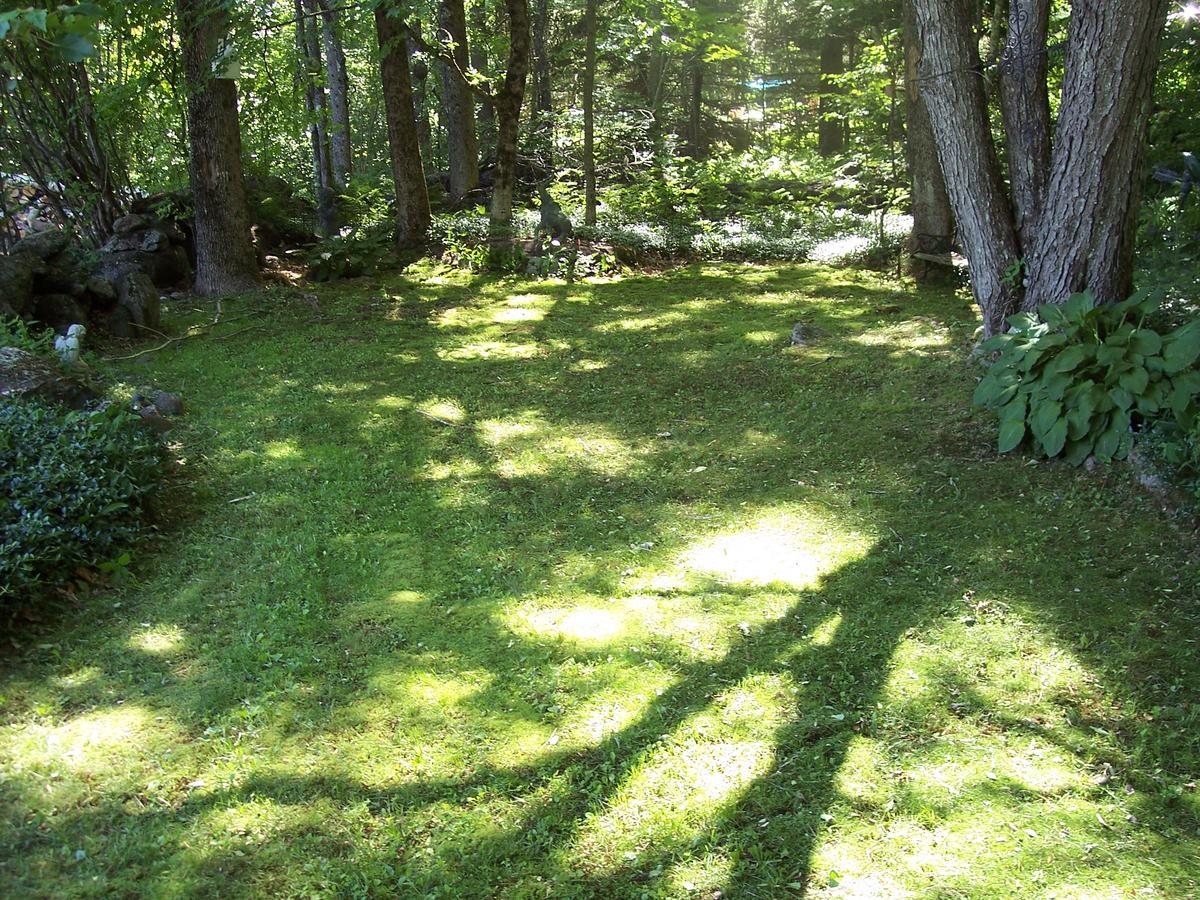 Bed and Breakfast Hummingbird Hill Stoddard Exteriér fotografie
